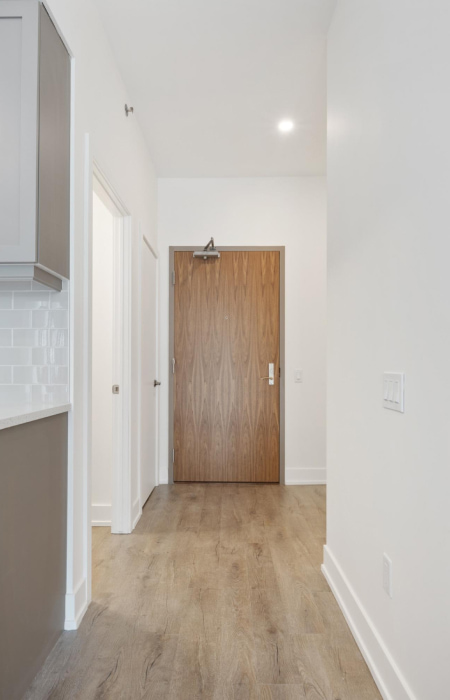 Material to choose for your main door for your home entrance - Beautiful Homes