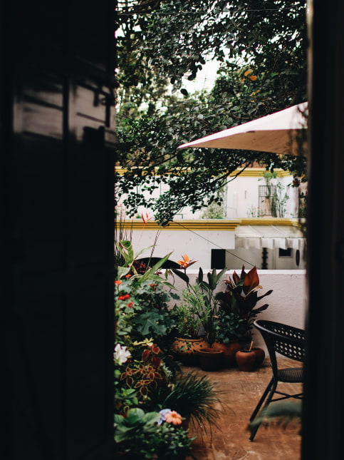 Open terrace garden for your home's small terrace - Beautiful Homes