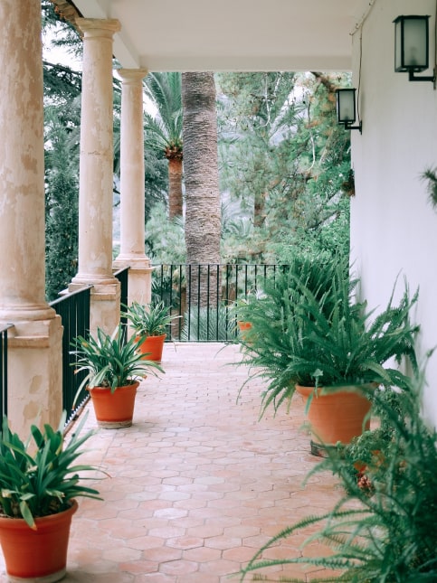 Terrace planting ideas for your home terrace garden - Beautiful Homes