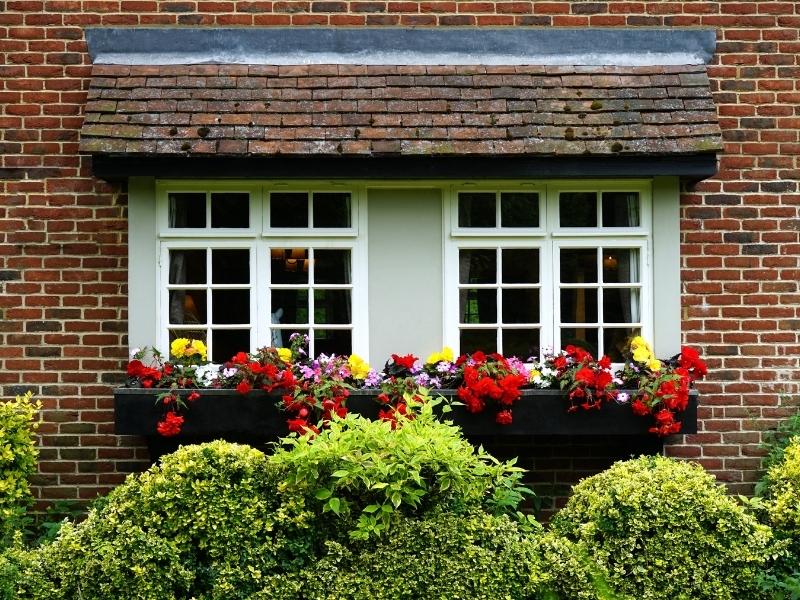 Small courtyard wall design with beautiful floral arrangement - Beautiful Homes
