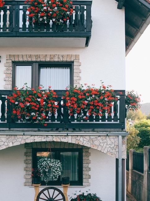 Nature themed small mini courtyard design with pretty orange flowers - Beautiful Homes