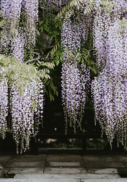 Hanging planter ideas indoor for a hanging garden - Beautiful Homes Hanging planter ideas indoor for a hanging garden - Beautiful Homes