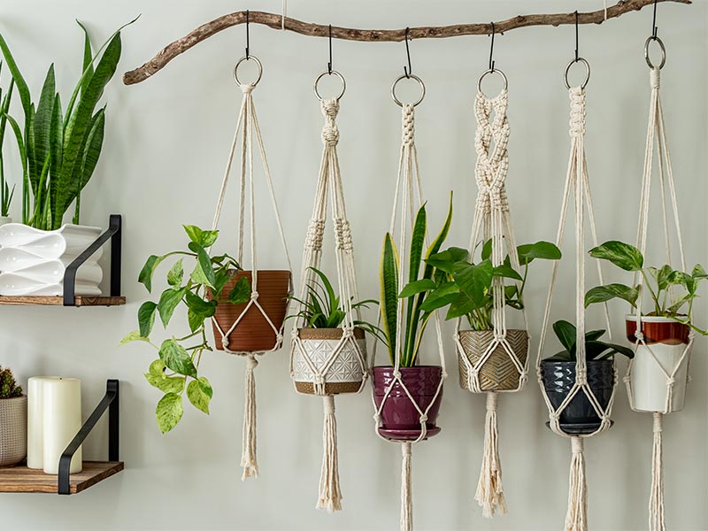 Rope plant hanger for hanging garden - Beautiful Homes Rope plant hanger for hanging garden - Beautiful Homes