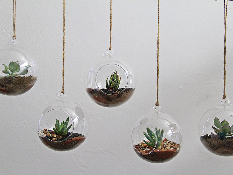 Wall mounted plant pots for hanging wall garden ideas - Beautiful Homes Wall mounted plant pots for hanging wall garden ideas - Beautiful Homes