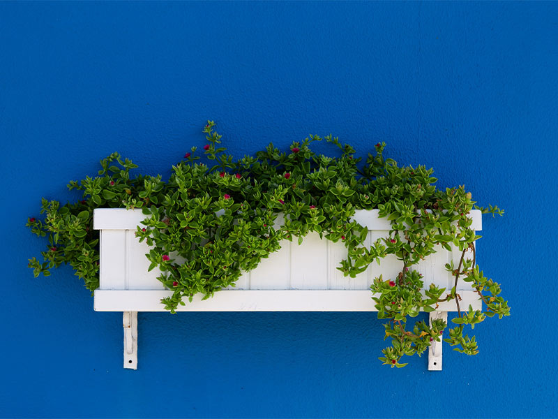 Hanging wall planters on a blue wall - Beautiful Homes Hanging wall planters on a blue wall - Beautiful Homes