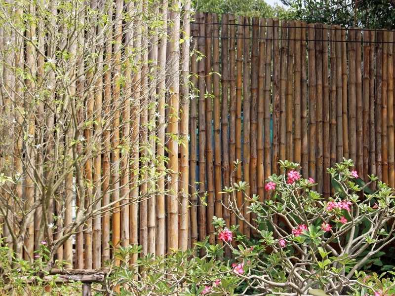 Bamboo boundary wall design ideas for your home - Beautiful Homes