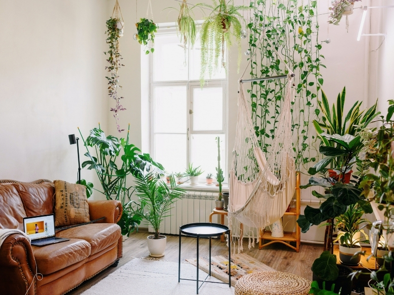 Interior biophilic design with plant décor - Beautiful Homes