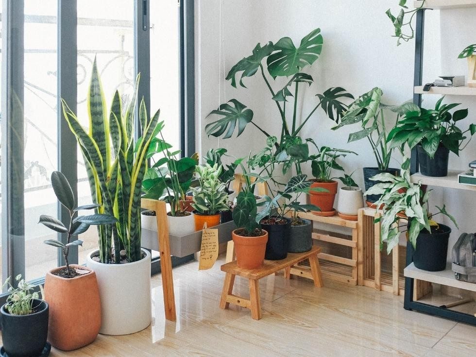 Biophilic design for indoor garden - Beautiful Homes