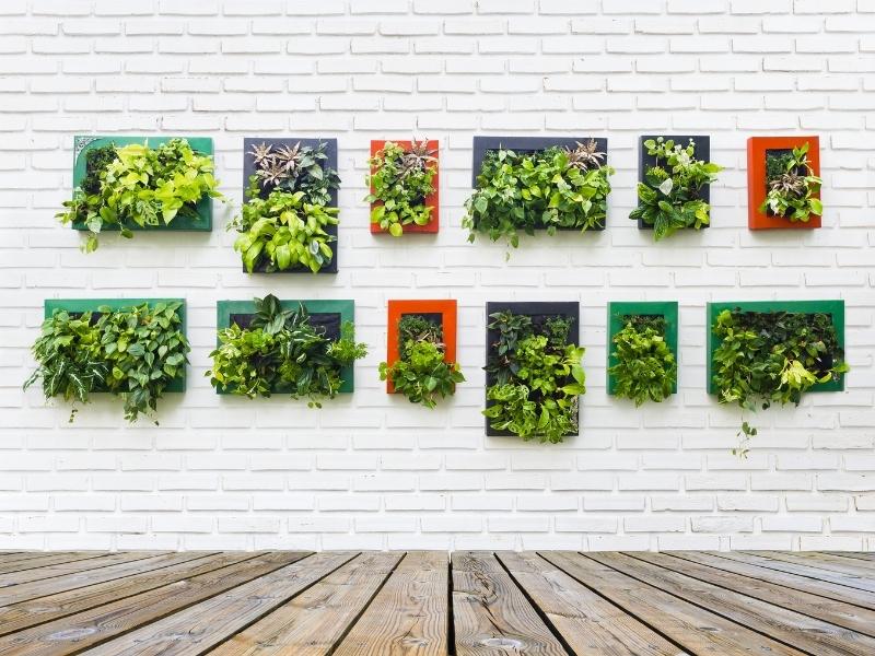 Multiple indoor vertical garden plants ideas for your home - Beautiful Homes