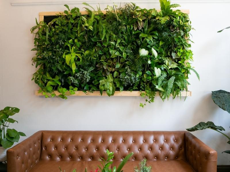Vertical green wall with a wooden frame in a biophilic living room - Beautiful Homes