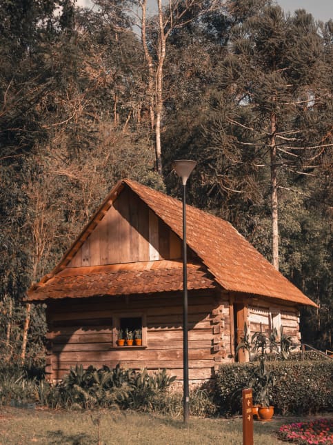 Wooden cabin for your beautiful zoom call background - Beautiful Homes