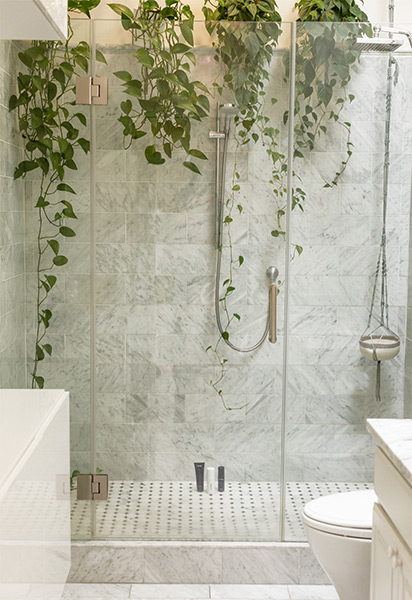 Indoor plants for your personalise home design ideas - Beautiful Homes