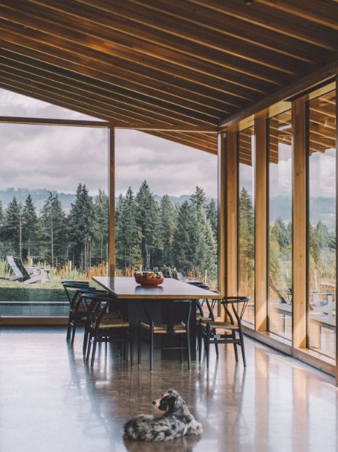 Charming fibre POP design to enhance your home design - Beautiful Homes