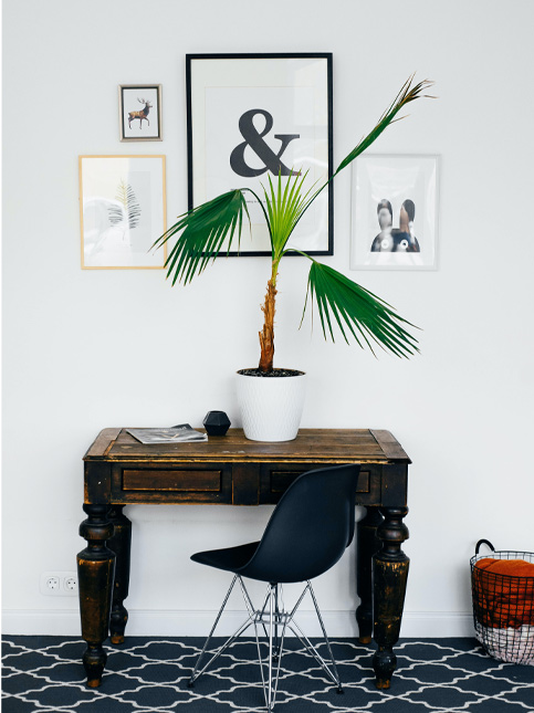 Hostel room decoration ideas - Beautiful Homes