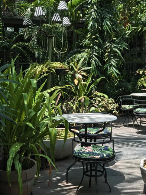The Wild Garden Cafe in Chennai - Beautiful Homes