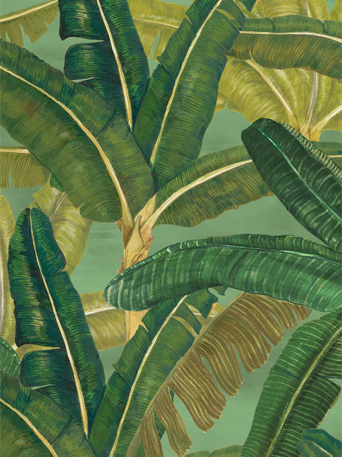 South-Indian garden inspired wallpaper from Nilaya by Asian Paints - Beautiful Homes