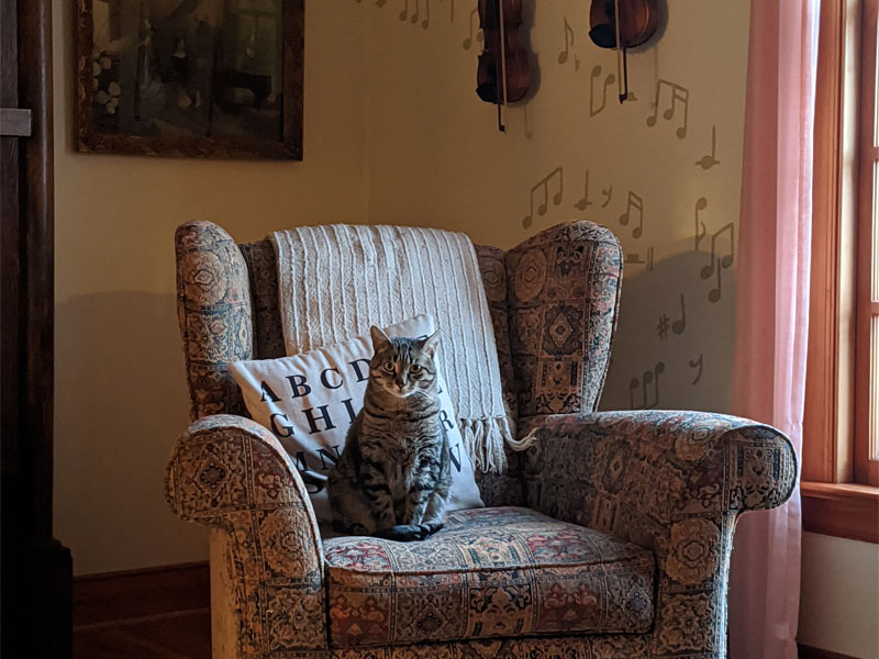 Music room design with violin & sofa – Beautiful Homes