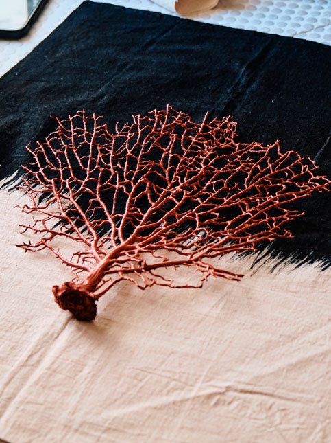 Coral red Kalamkari napkin - Beautiful Homes