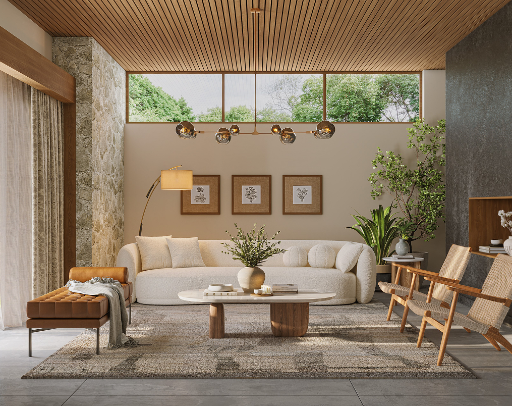 Living room Inspirations