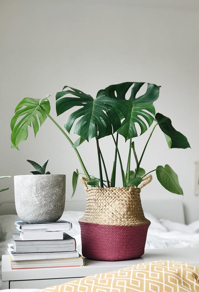 A jute planter with a plant in it