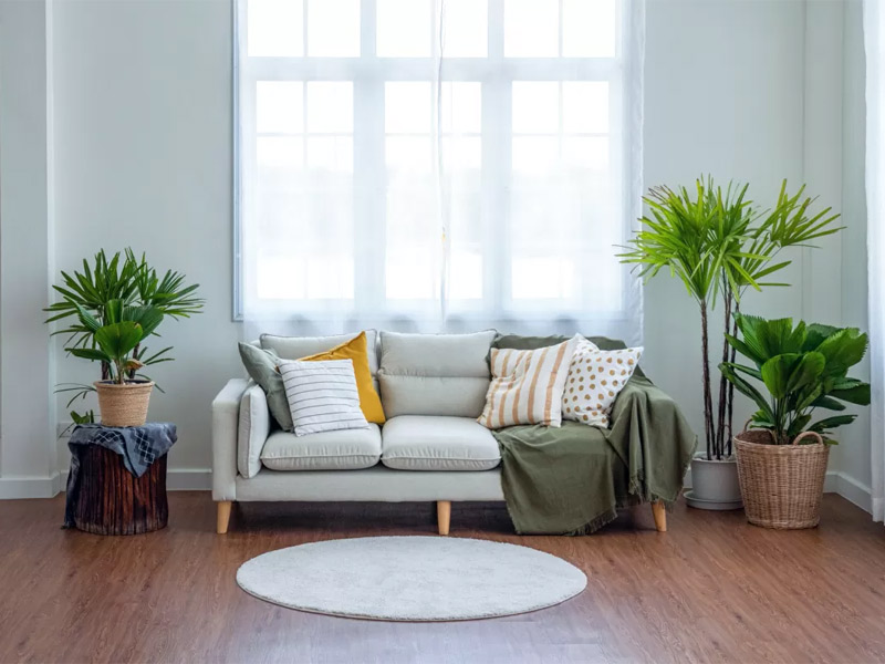 Home verandah with a sofa & many plants for monsoon décor - Beautiful Homes