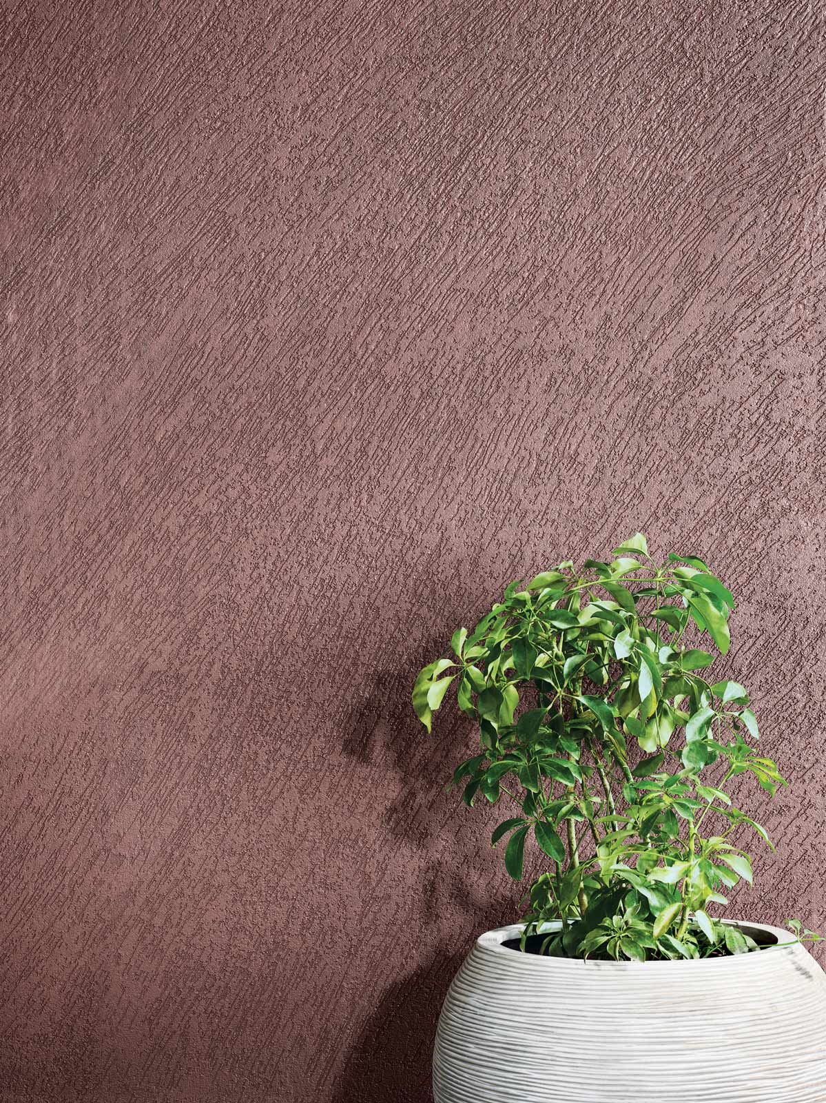 Choose the right exterior wall paint - Beautiful Homes Choose the right wall paint for exteriors - Beautiful Homes