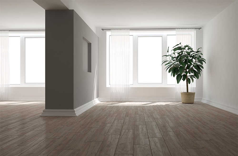 Empty new home with partition & big windows - Beautiful Homes