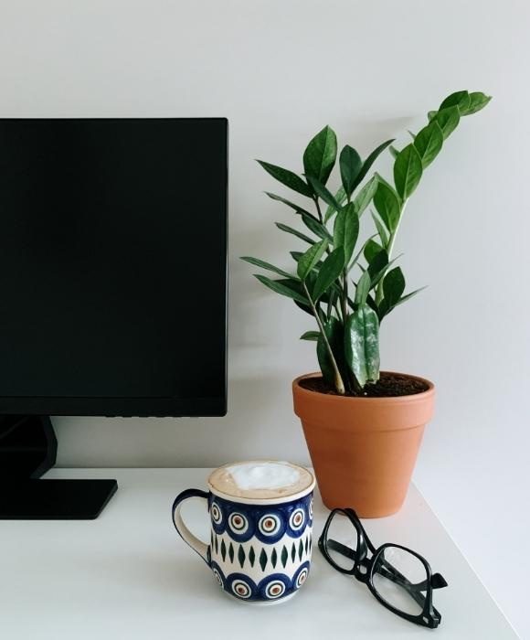 Best indoor plants for the darkroom - Beautiful Homes