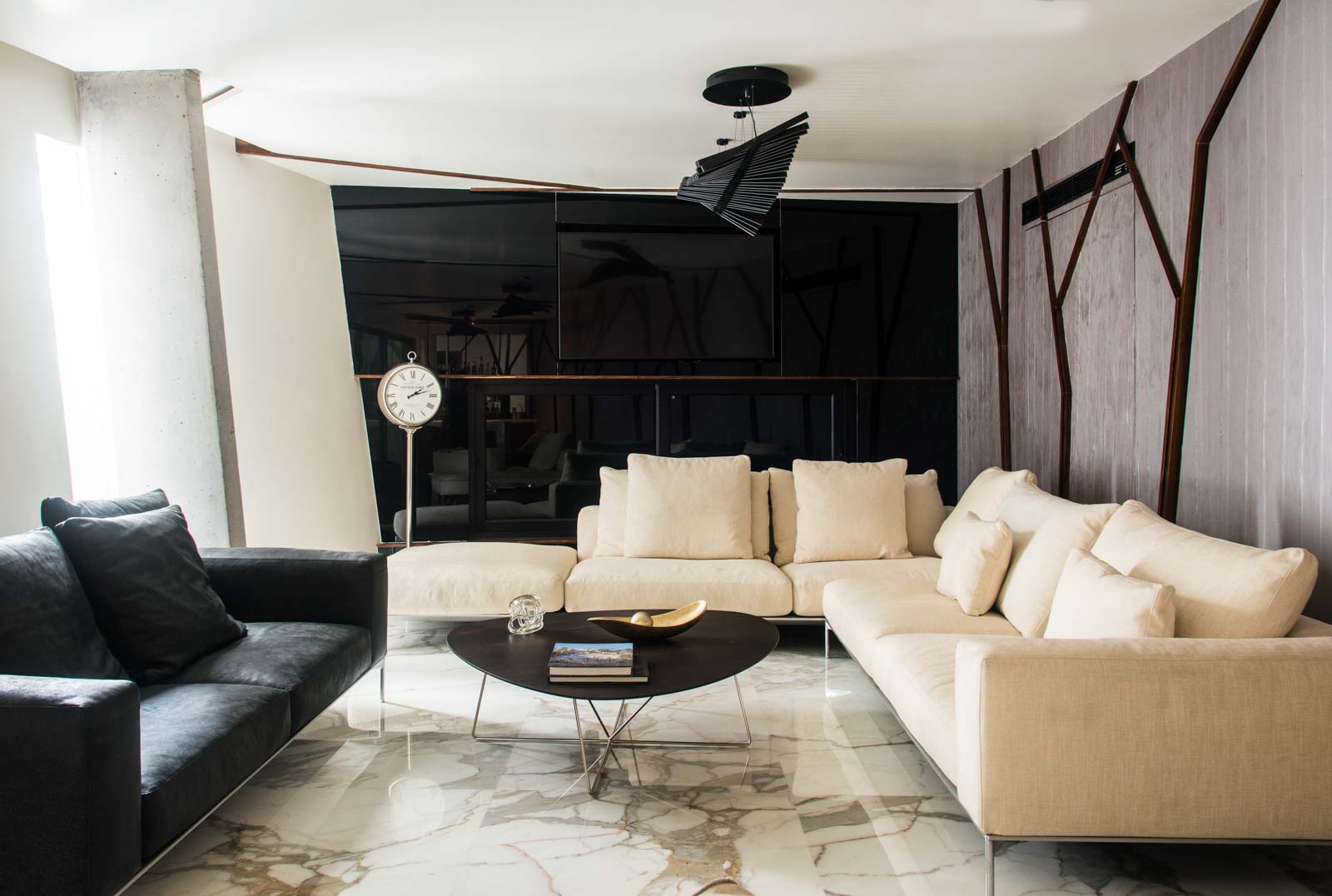 delhi home living room