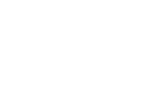 banner-logo