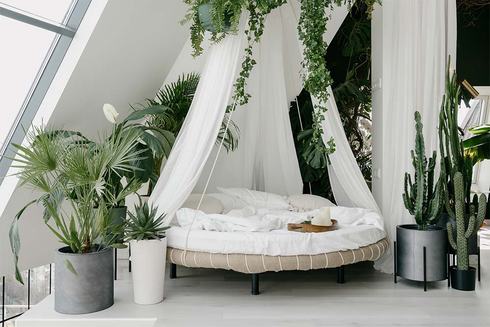 Romantic bedroom décor with plants - Beautiful Homes Romantic bedroom décor with plants - Beautiful Homes