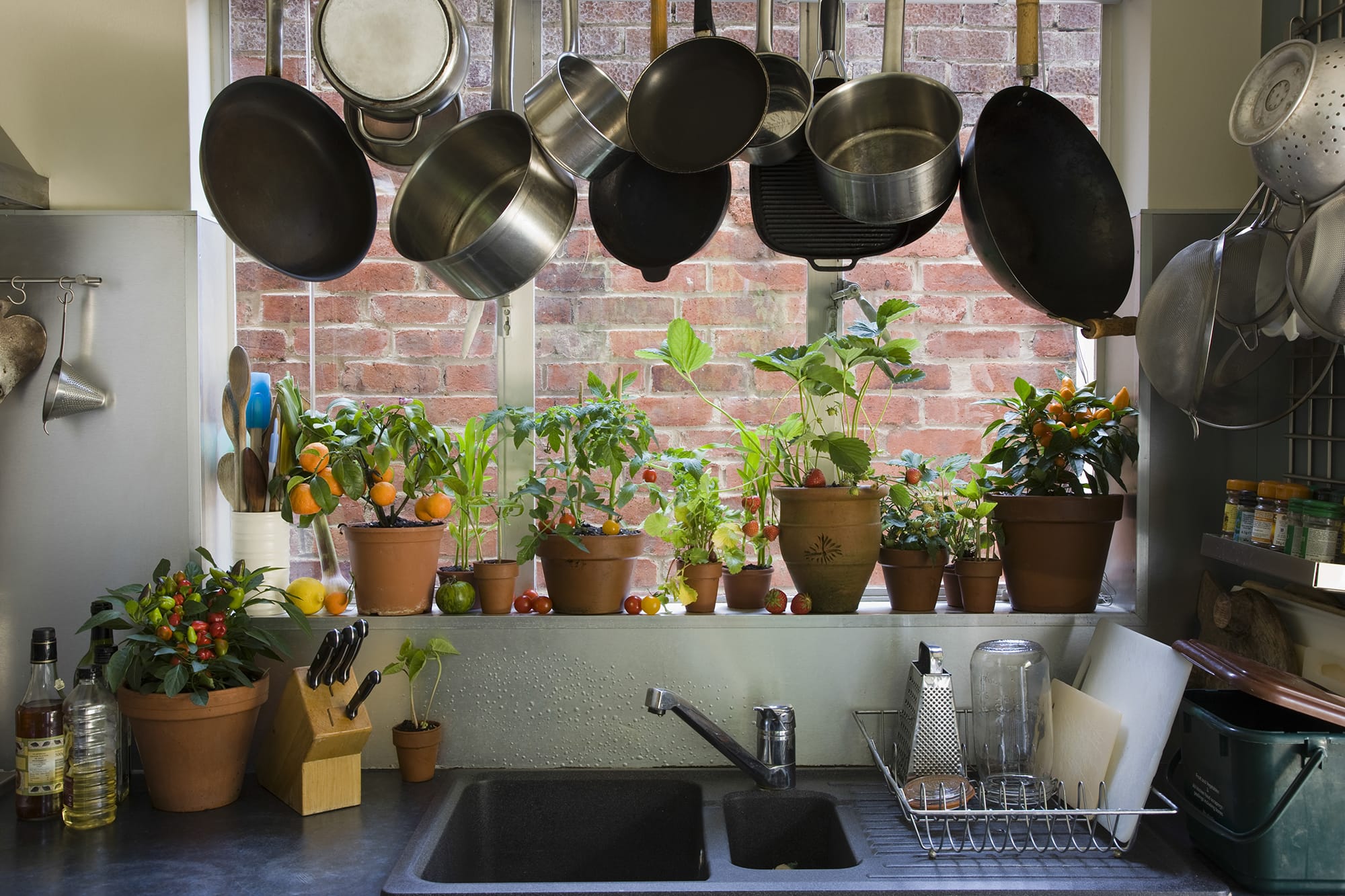 Potted Plants on Kitchen Window for an Elegant Kitchen Décor - Beautiful Homes