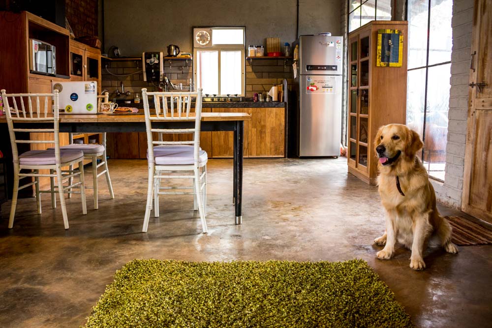 Bring the whole family together with rustic kitchen designs - Beautiful Homes